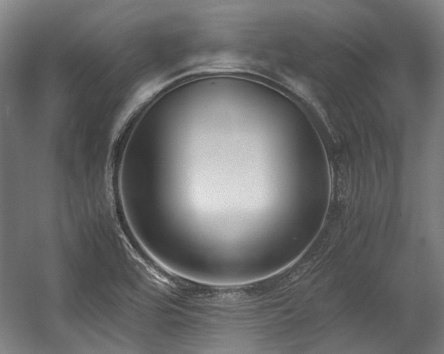 X0000057061464200509120835