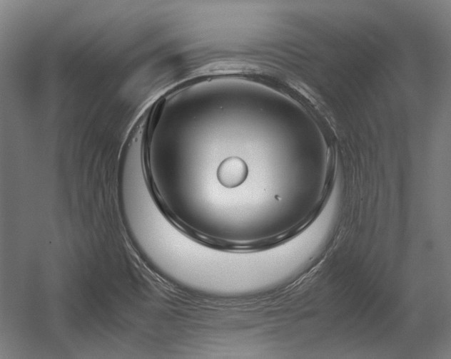 X0000057061465200509120835