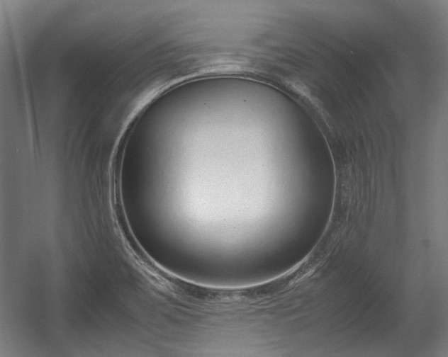 X0000057061467200509120835