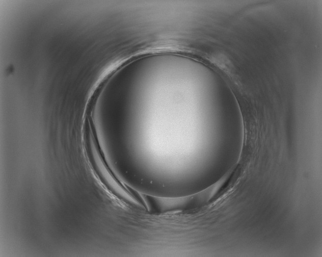 X0000057061469200509120835