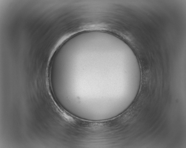 X0000057061470200509120835