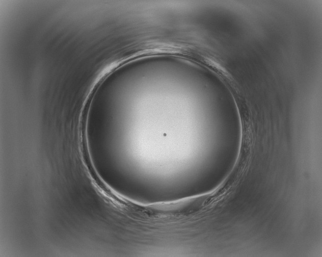 X0000057061471200509120835