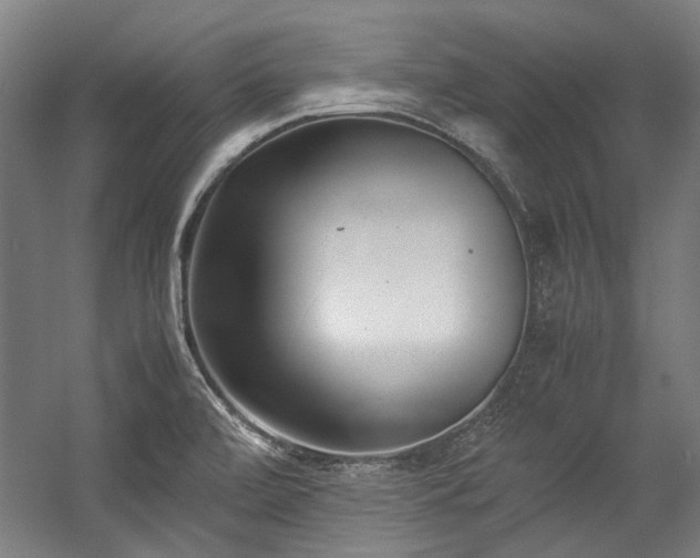 X0000057061472200509120835