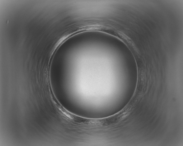 X0000057061473200509120835