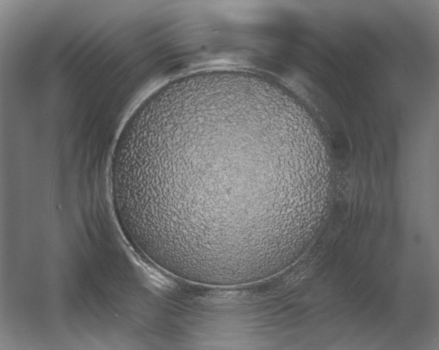 X0000057061474200509120835