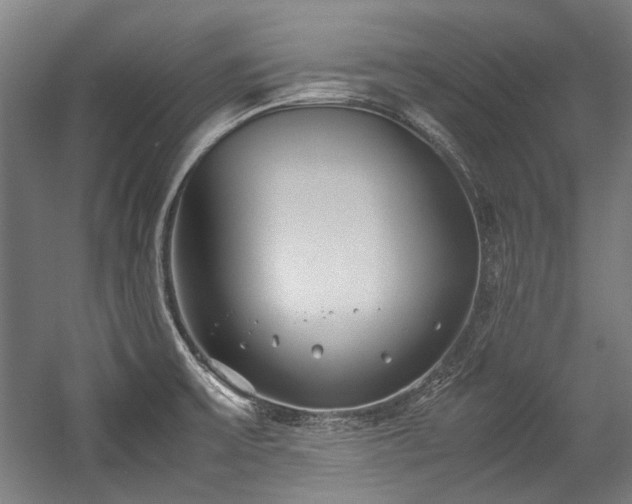 X0000057061475200509120835