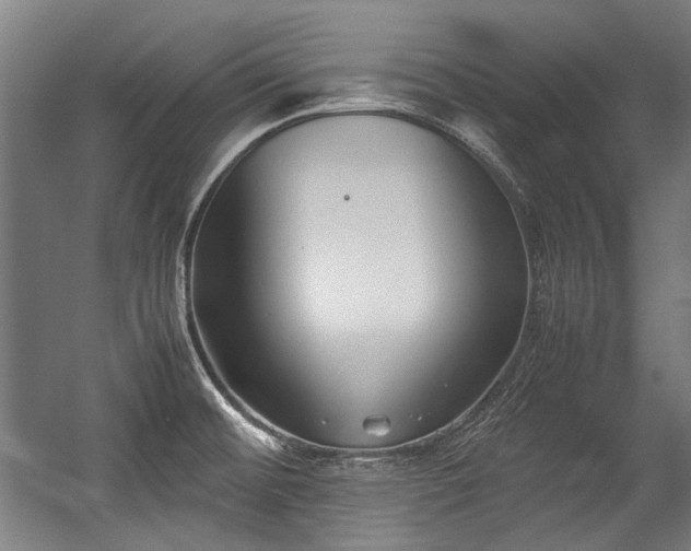 X0000057061476200509120835