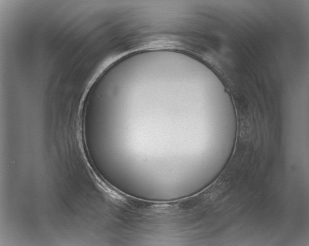 X0000057061478200509120835