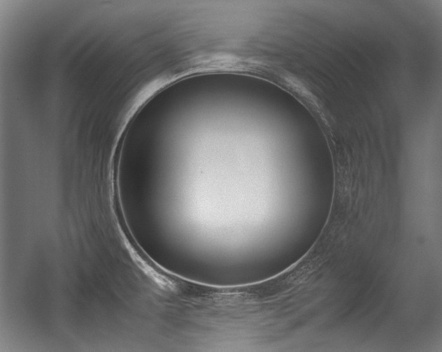 X0000057061479200509120835