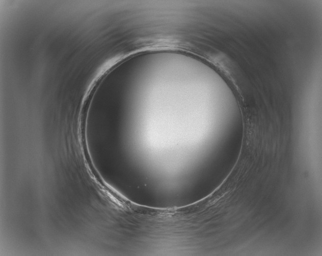 X0000057061480200509120835