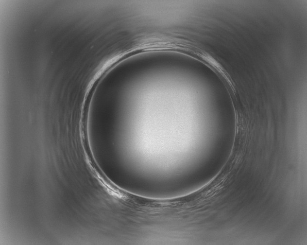 X0000057061485200509120835