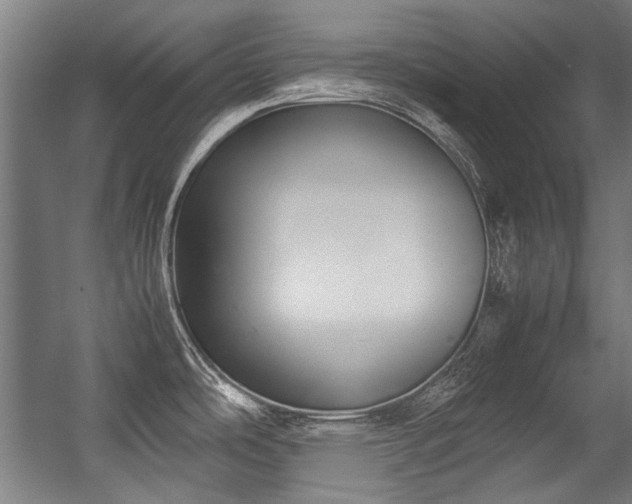 X0000057061486200509120835