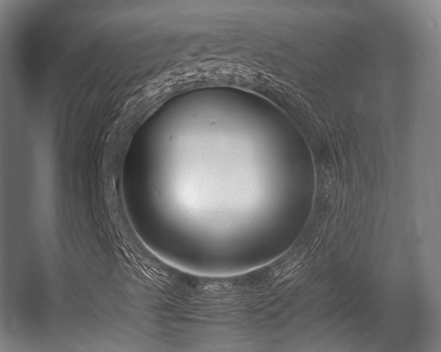 X0000057061489200509120834