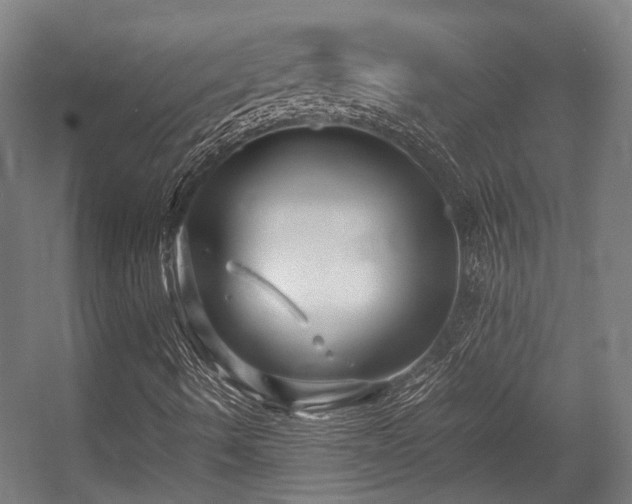 X0000057061490200509120834