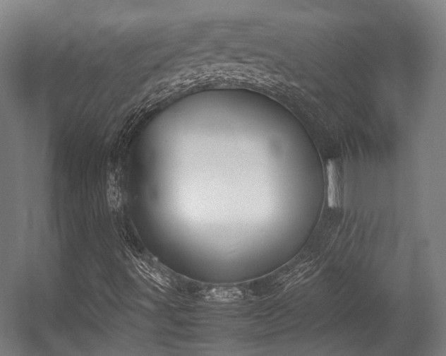 X0000057061491200509120834