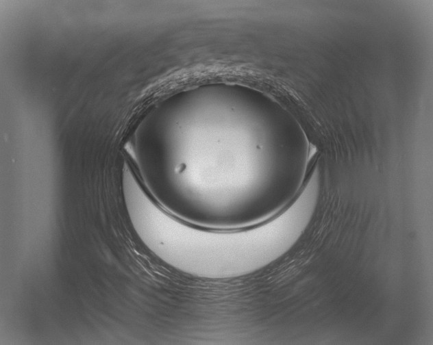 X0000057061492200509120834