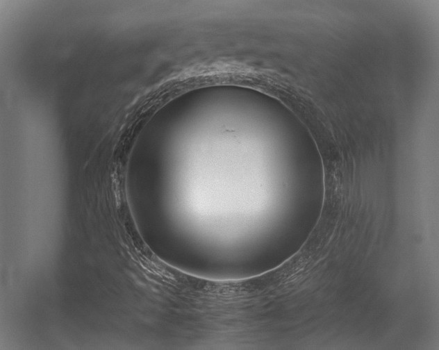 X0000057061493200509120834