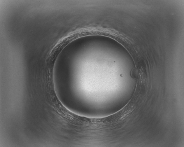 X0000057061494200509120834