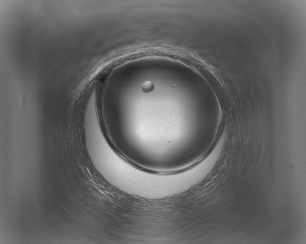 X0000057061496200509120834