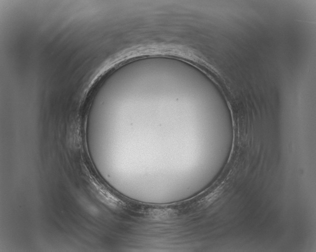 X0000057061498200509120834