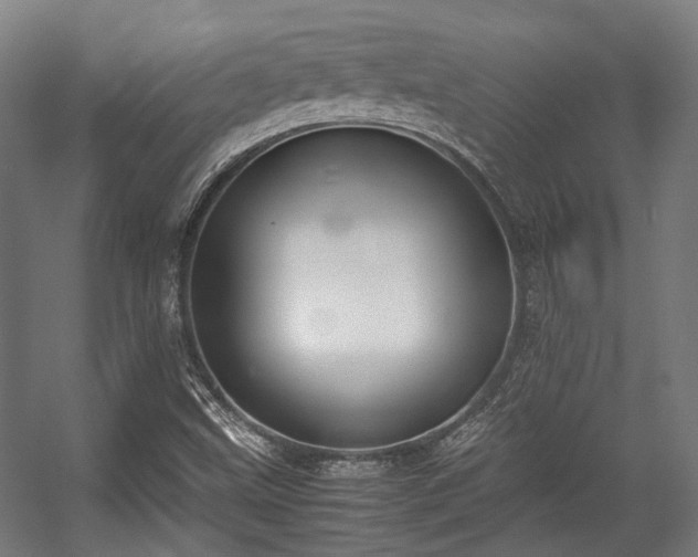 X0000057061499200509120834