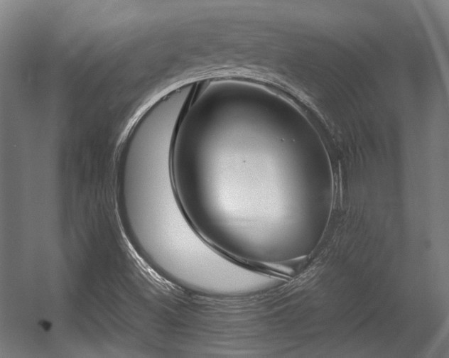 X0000057061500200509120834