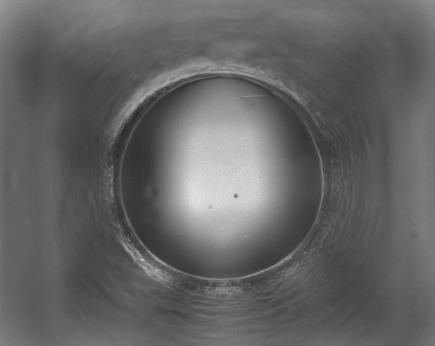 X0000057061503200509120834