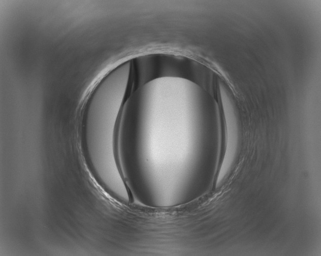 X0000057061504200509120834