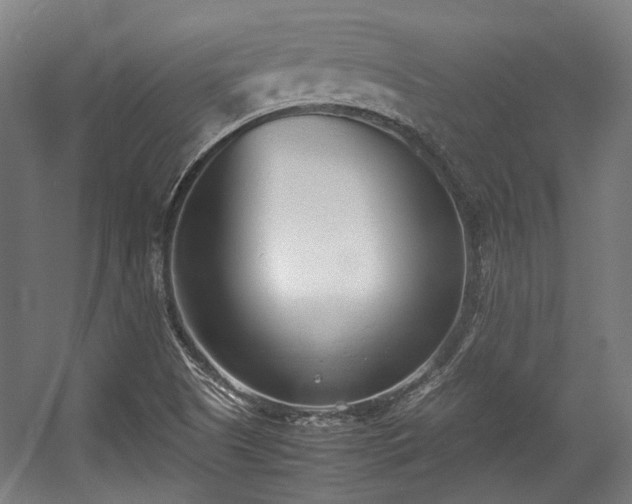 X0000057061505200509120834