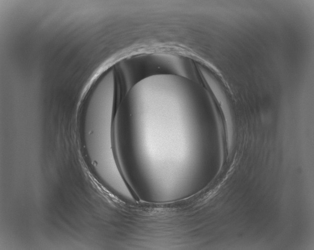 X0000057061506200509120834