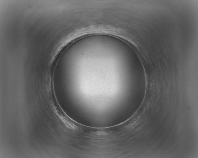 X0000057061507200509120834