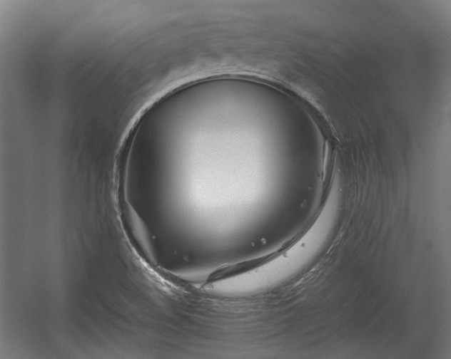 X0000057061508200509120835