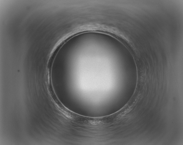 X0000057061509200509120835