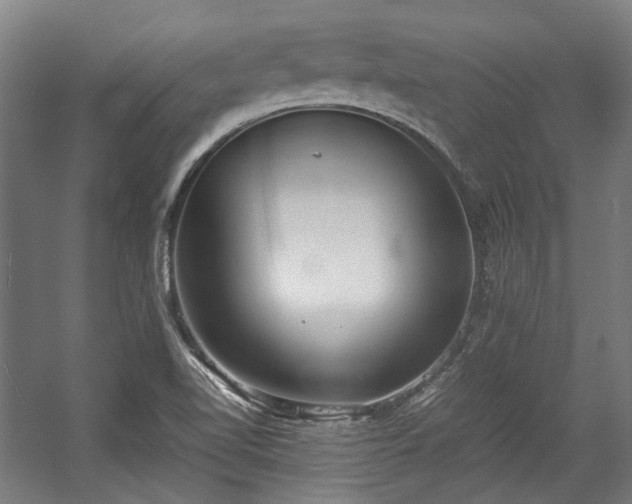 X0000057061510200509120835