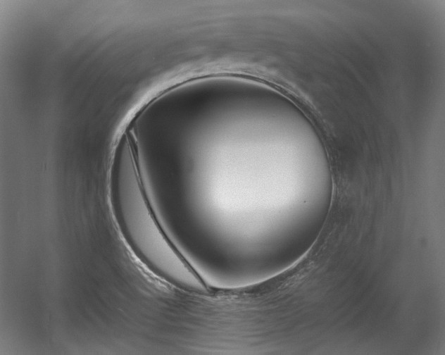 X0000057061512200509120835