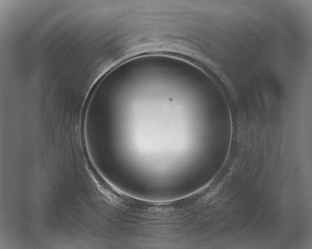 X0000057061513200509120835