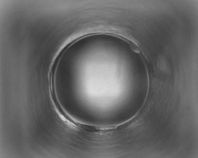 X0000057061515200509120835