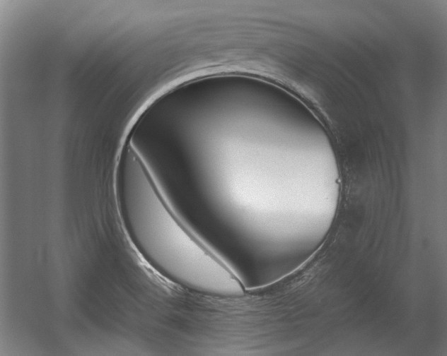 X0000057061516200509120835