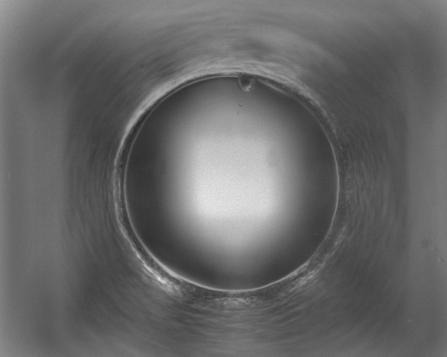 X0000057061517200509120835