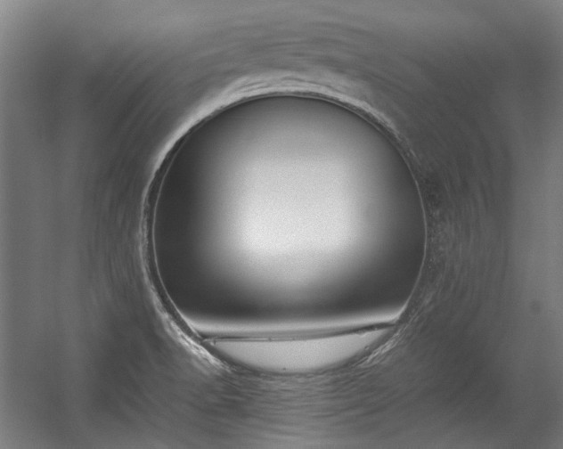 X0000057061518200509120835