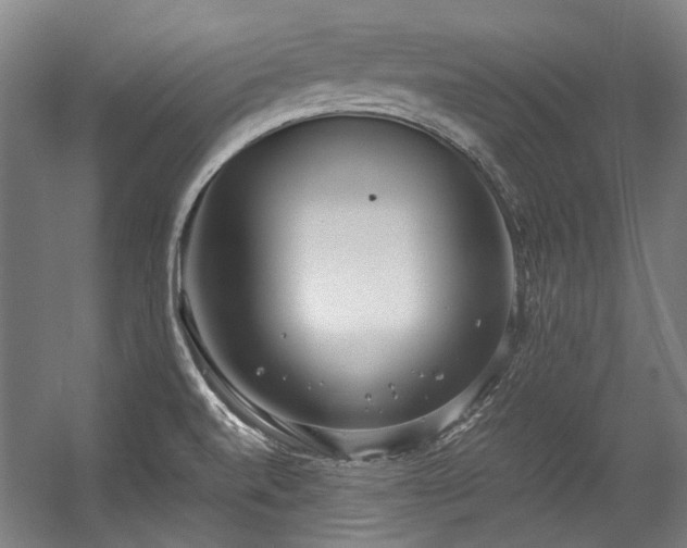 X0000057061520200509120835