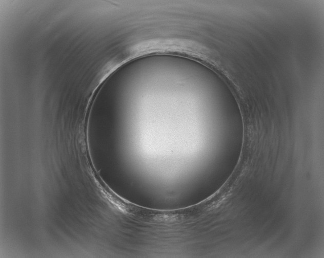 X0000057061521200509120835