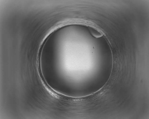 X0000057061523200509120835