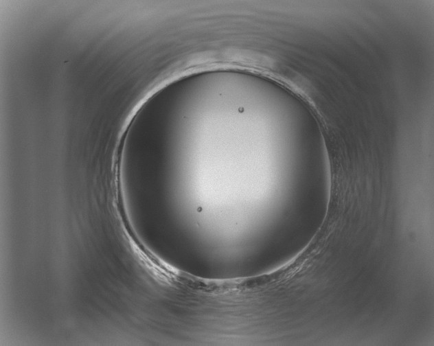 X0000057061524200509120835