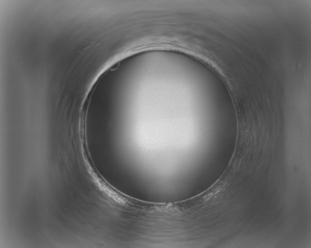 X0000057061526200509120835