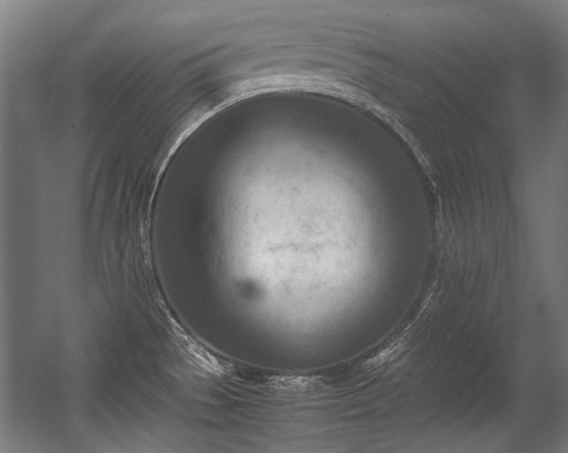 X0000057061529200509120835