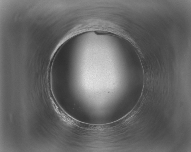 X0000057061530200509120835