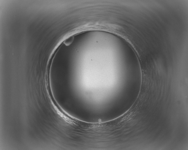 X0000057061531200509120835