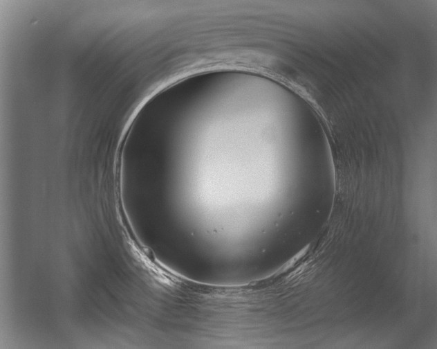 X0000057061532200509120835