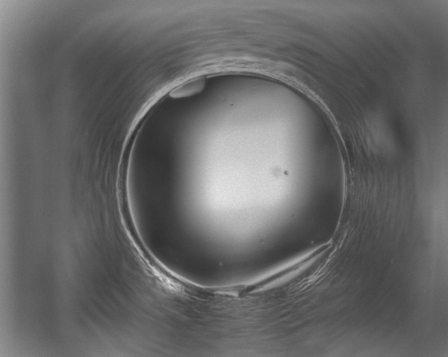 X0000057061533200509120835